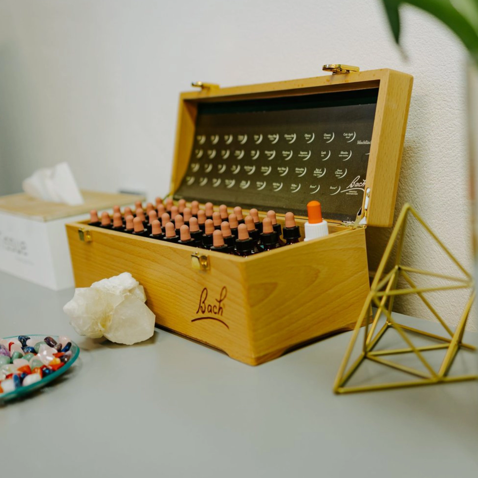 jednotny-mozek-pro-pokrocile