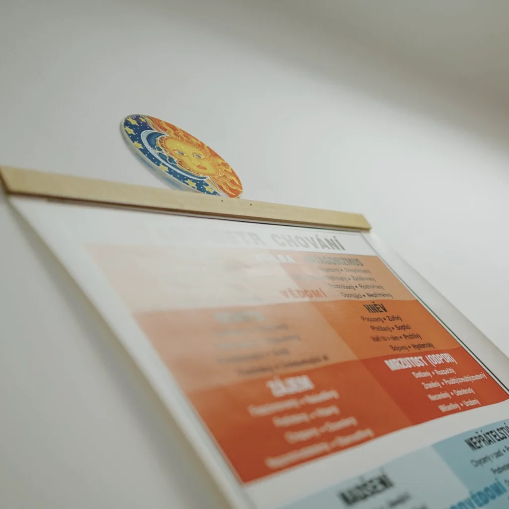 Co to je kineziologie